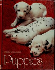 Puppies /