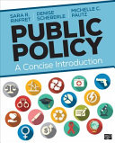 Public policy : a concise introduction /