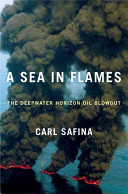 A sea in flames : the Deepwater Horizon Oil blowout /