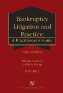 Bankruptcy litigation and practice : a practitioner's guide /