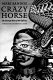 Crazy Horse, the strange man of the Oglalas : a biography /