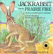 Jackrabbit and the prairie fire : the story of a black-tailed jackrabbit /