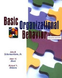 Basic organizational behavior /