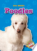 Poodles /