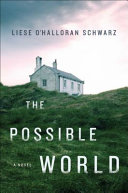The possible world : a novel /