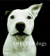 Shelter dogs /
