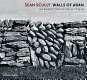 Sean Scully : walls of Aran /