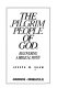The pilgrim people of God : recovering a biblical motif /
