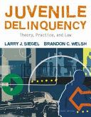 Juvenile delinquency : theory, practice, and law /