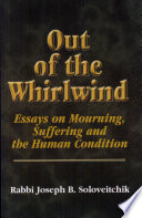 Out of the whirlwind : essays on mourning, suffering and the human condition /