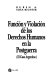 Función y violación de los derechos humanos en la postguerra : el caso argentino /