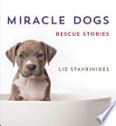 Miracle dogs : rescue stories /