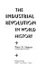 The industrial revolution in world history /