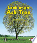 Look at an ash tree /