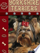 Yorkshire terriers