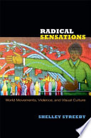 Radical sensations : world movements, violence, and visual culture /