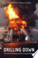 Drilling down : the Gulf Oil debacle and our energy dilemma /