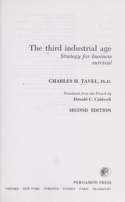 The third industrial age : strategy for business survival /