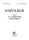 Napoléon : 1814, la campagne de France /