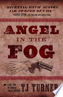 Angel in the fog : a novel /