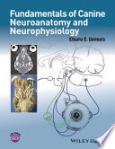 Fundamentals of canine neuroanatomy and neurophysiology /
