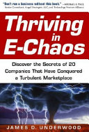 Thriving in e-chaos : how 10 traditional companies are using leadership, technology, and agility to succeed in the new economy /