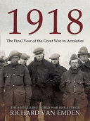 1918 : the decisive year in soldiers' own words and photographs /