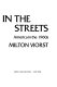 Fire in the streets : America in the 1960s /