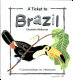 A ticket to Brazil /
