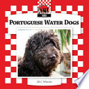 Portuguese water dogs