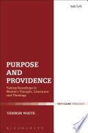 Purpose and providence : taking soundings in western thought, literature & theology /