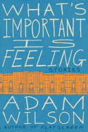 What's important is feeling : stories /