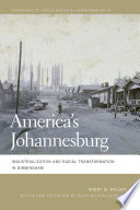 America's Johannesburg : industrialization and racial transformation in Birmingham /