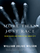 More than just race : being black and poor in the inner city /