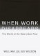 When work disappears : the world of the new urban poor /
