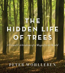 The hidden life of trees : the illustrated edition /