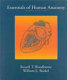 Essentials of human anatomy /