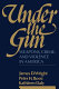 Under the gun : weapons, crime, and violence in America /