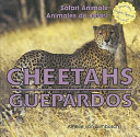 Cheetahs = Guespardos /