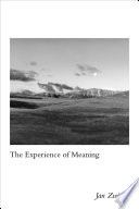 The experience of meaning /