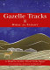 Gazelle tracks : a modern Arabic novel from Egypt /