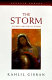 The storm : stories and prose poems /